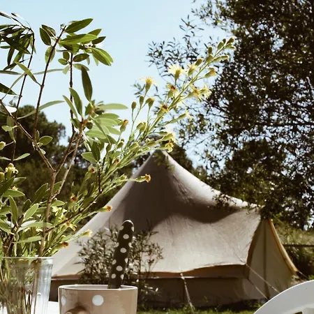 Lyxtält Village Del Mar