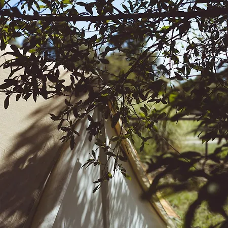Village Del Mar Lüks kamp alanı Solaro