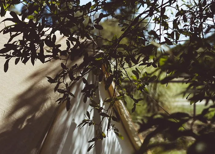 Village Del Mar Luxe tent Solaro