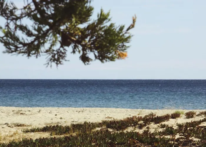 Village Del Mar Solaro