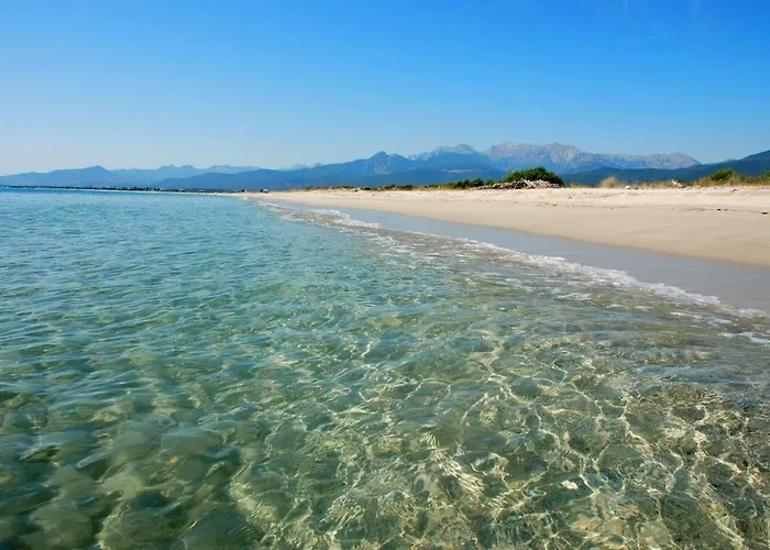 Village Del Mar Luxe tent